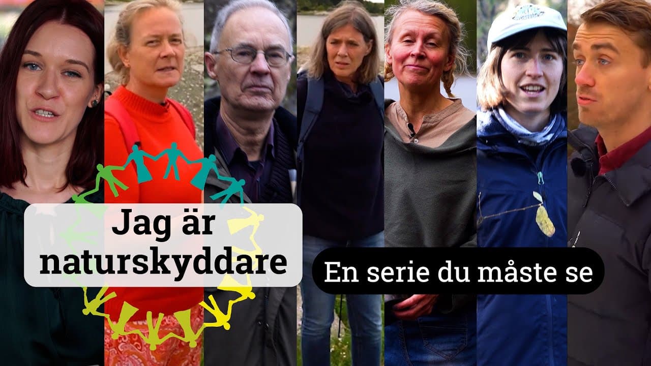 Bild från youtube-video