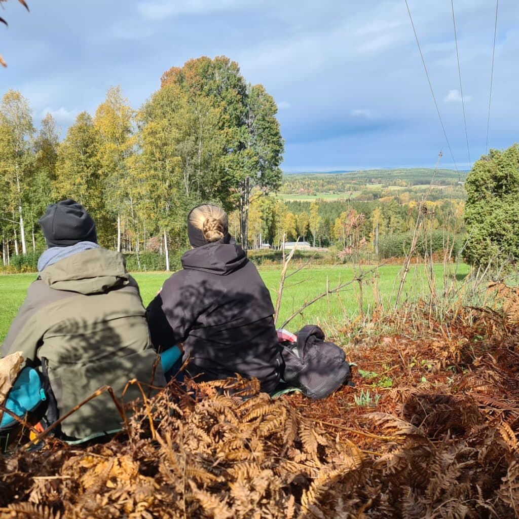 Två kvinnor sitter bland vissna ormbunkar ovanför en äng och tittar ut över skogen nedanför.