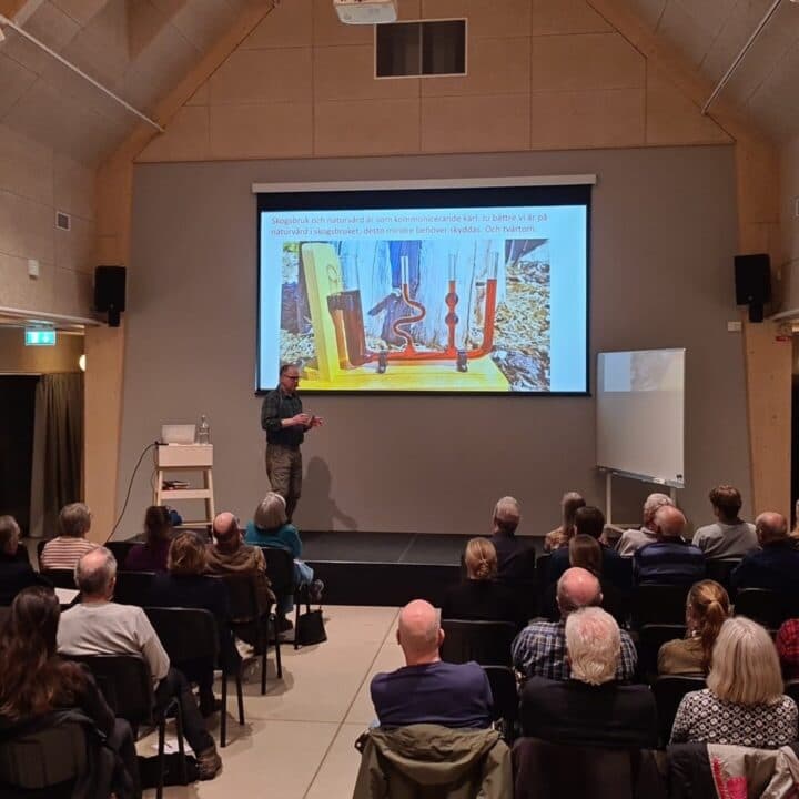 Leif Öster står på scenen och föreläser framför publiken.