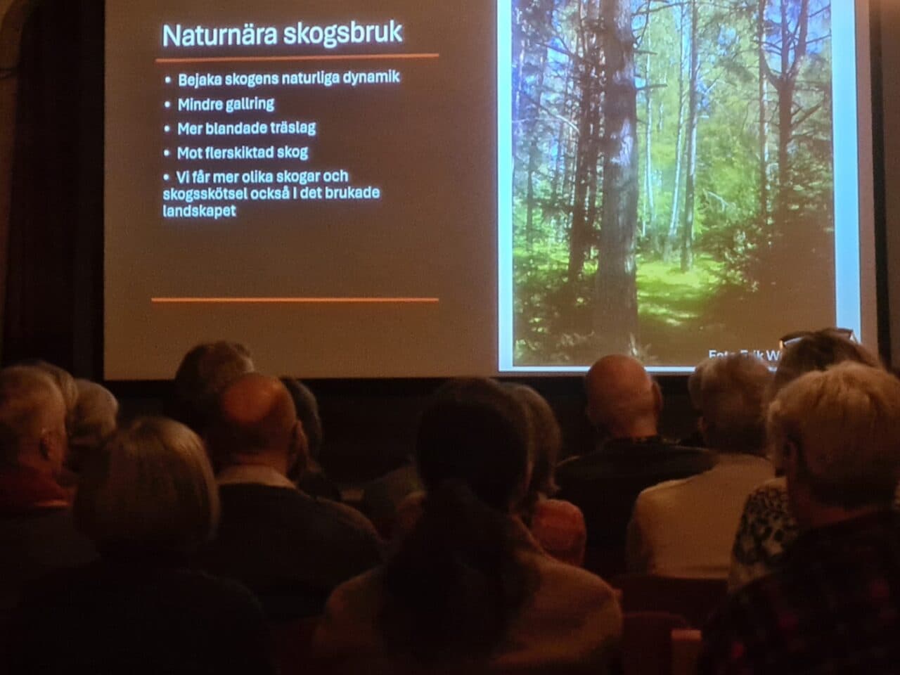 Föreläsningens publik bakifrån och på duken en bild från föreläsarens presentation.