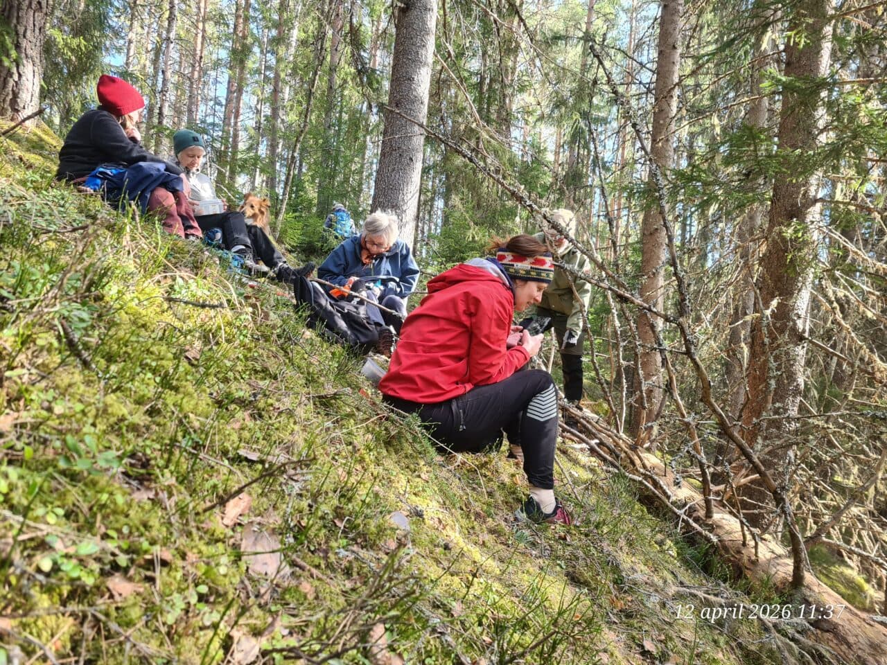Fem personer som sitter och fikar i ravinen vid Skorsbäcken