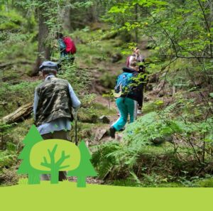 Fyra personer på väg upp längs en stig i skogen